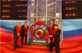 巴比馒头是如何做到年入10亿、A股上市？